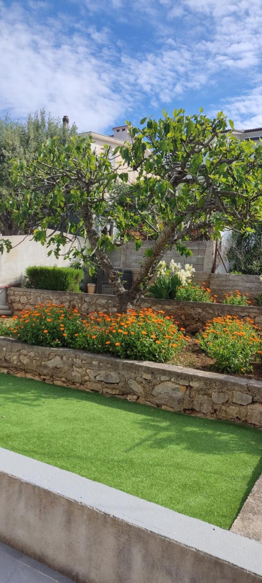 Apartmani Mataija Sveti Petar  Exterior foto